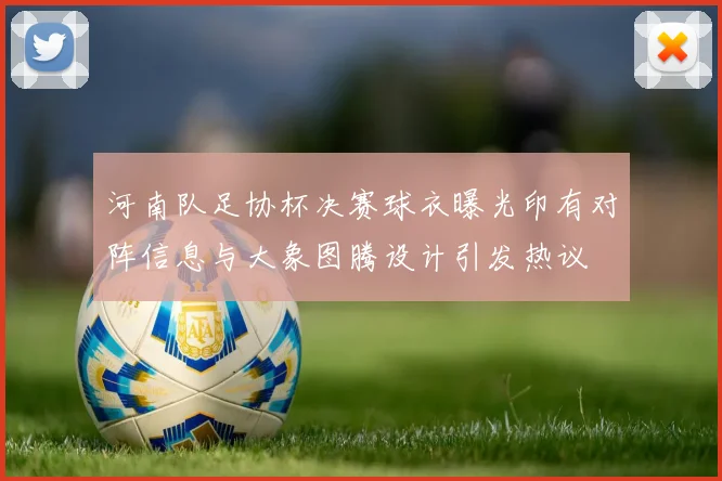 河南队足协杯决赛球衣曝光印有对阵信息与大象图腾设计引发热议