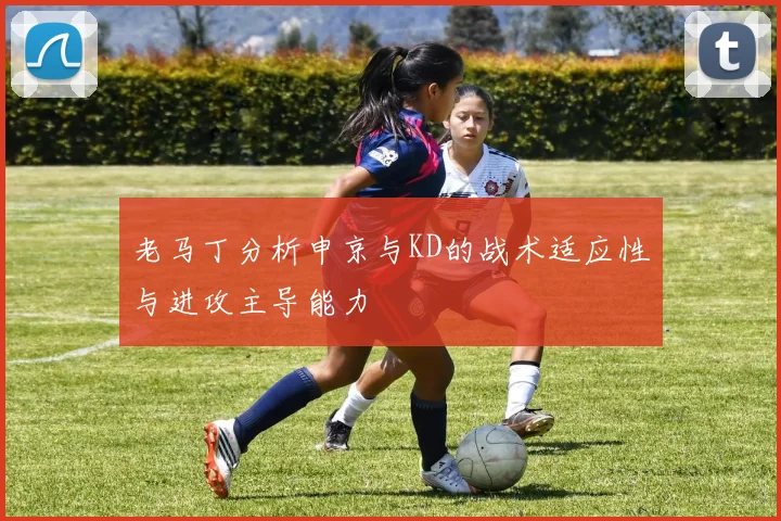老马丁分析申京与KD的战术适应性与进攻主导能力
